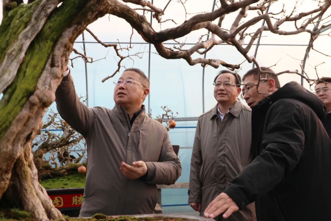 fί(sh)ӛί(sh)ӛ(gu)ށ(li)Fǅ^(q){(dio)ʯa(chn)I(y)l(f)չ