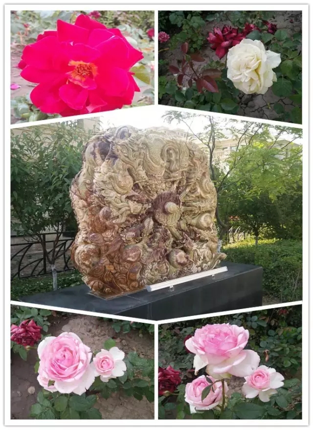 網(wǎng)勢科技6周歲生日快樂！